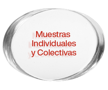 Muestras Individuales y Colectivas