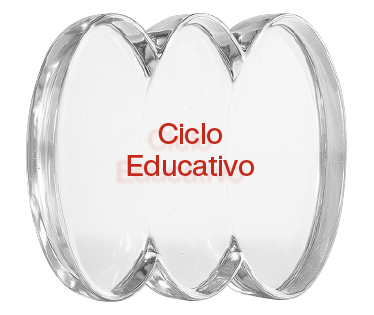 Ciclo Educativo