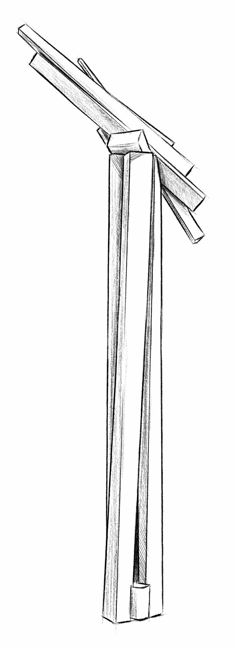 Boceto - Pino quebrado