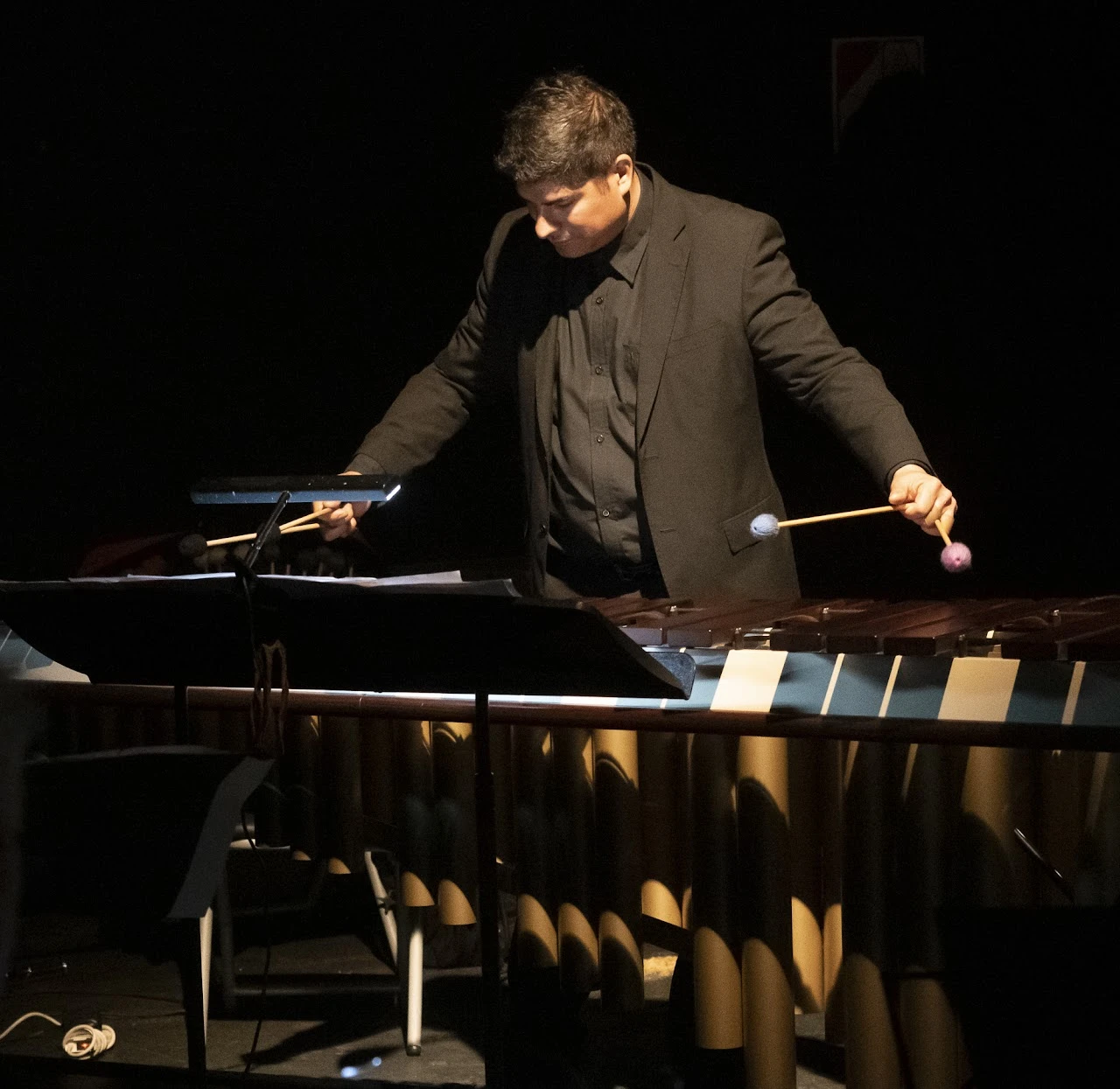 Sebastián Salinas